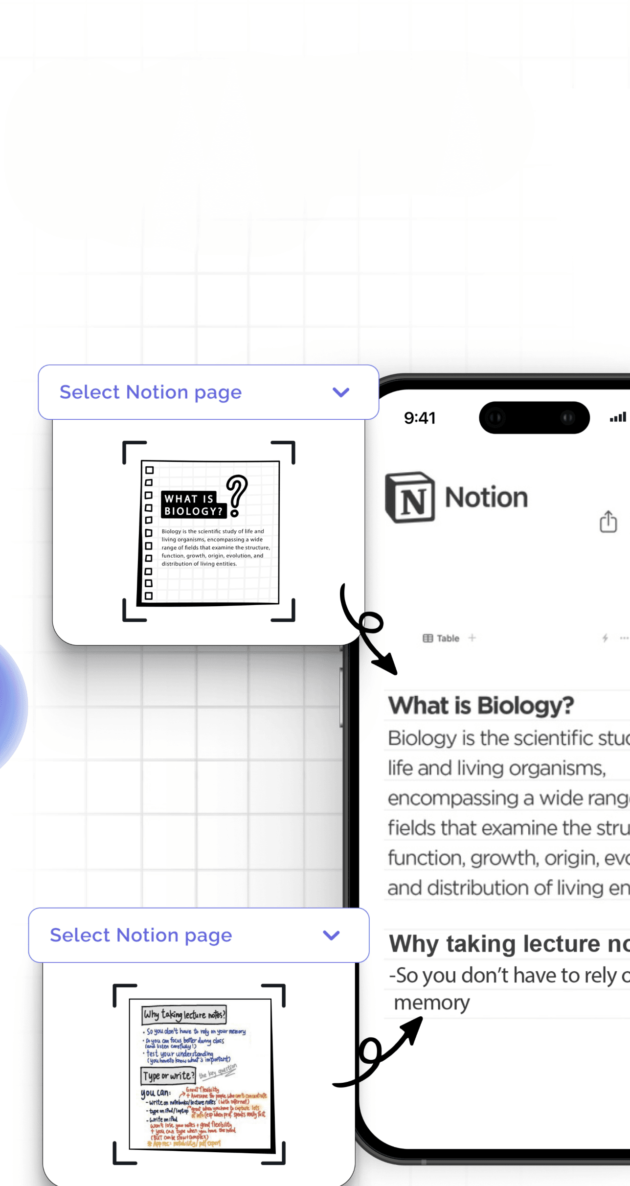 Focus_Mockup_2